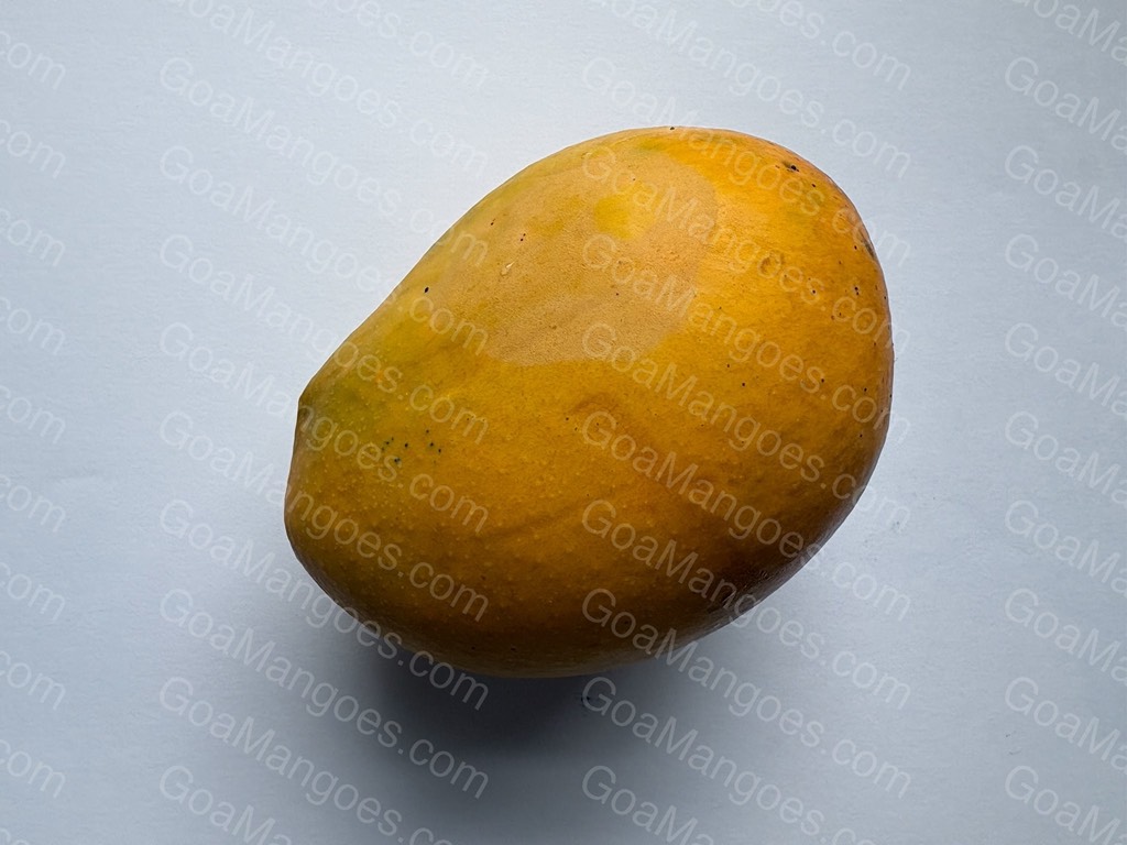 Manghilario mango variety photo 1