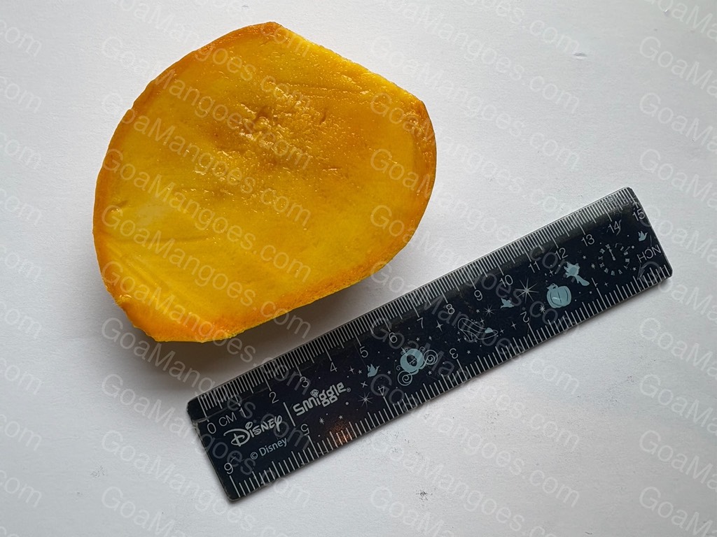 Manghilario mango variety photo 5