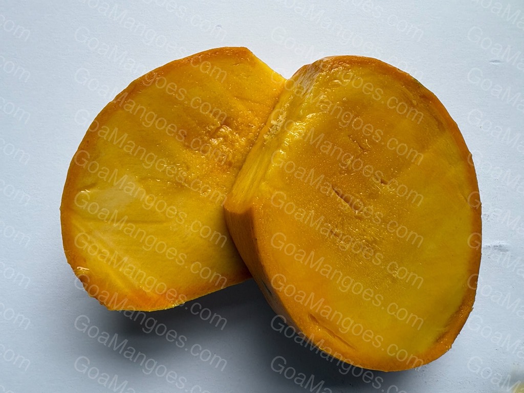 Manghilario mango variety photo 6