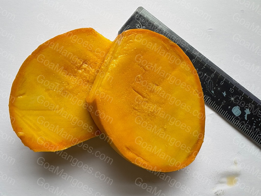 Manghilario mango variety photo 7